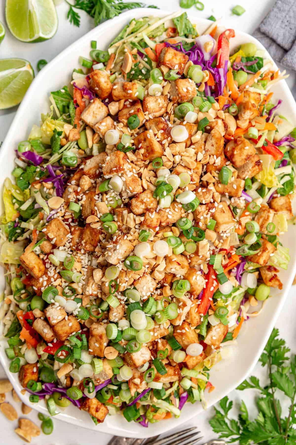 A platter of Thai Peanut Cabbage Salad (with Tofu).