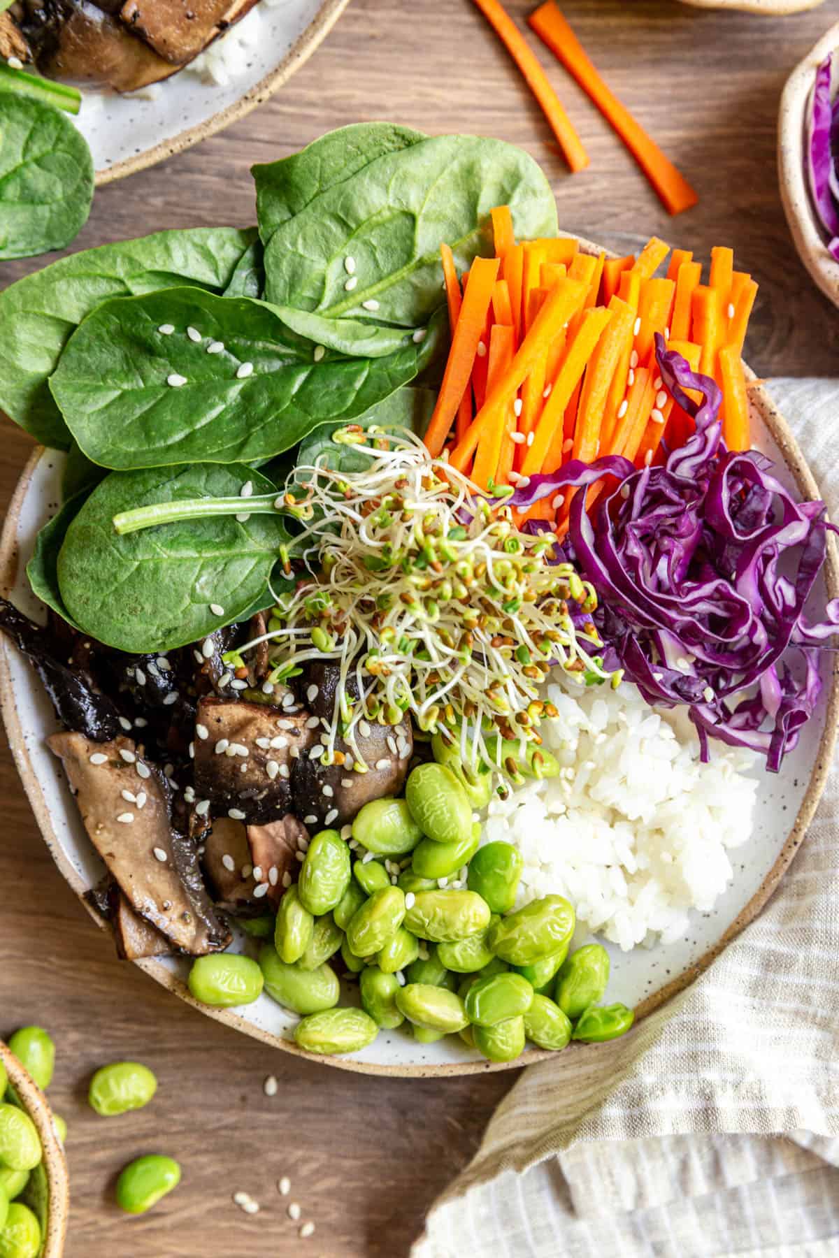 A mushroom rice bowl ready to serve.