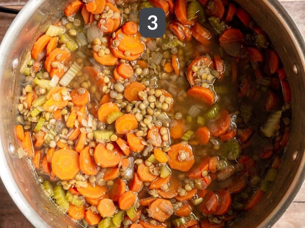 Carrot and Lentil Soup Step 3 - serve.