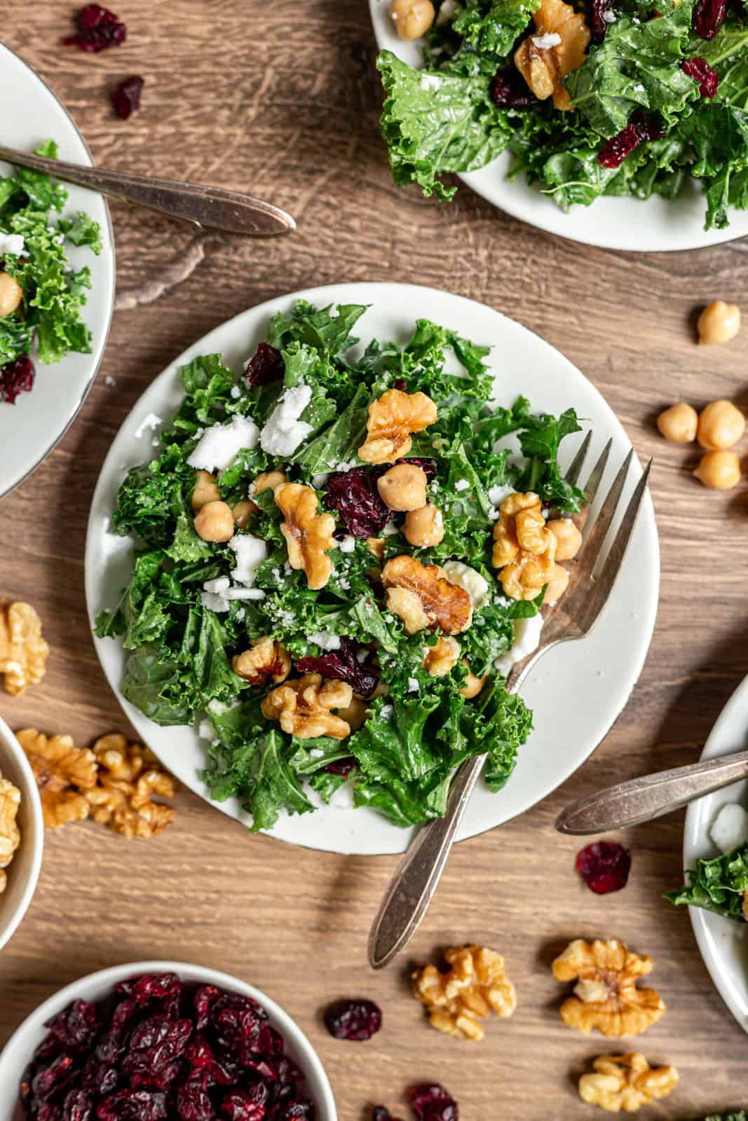 Kale salad with cranberries on a plate.