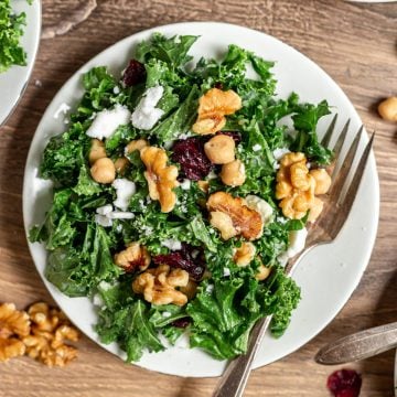 Kale salad with cranberries on a plate.
