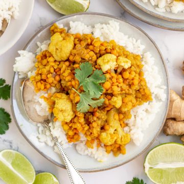A plate of red lentil curry, served over rice and garnished with cilantro.