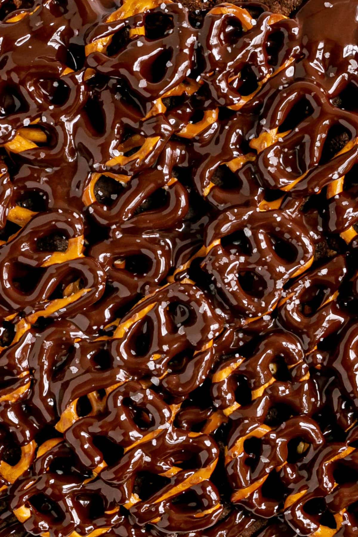 Chocolate Covered Pretzels on top of brownies