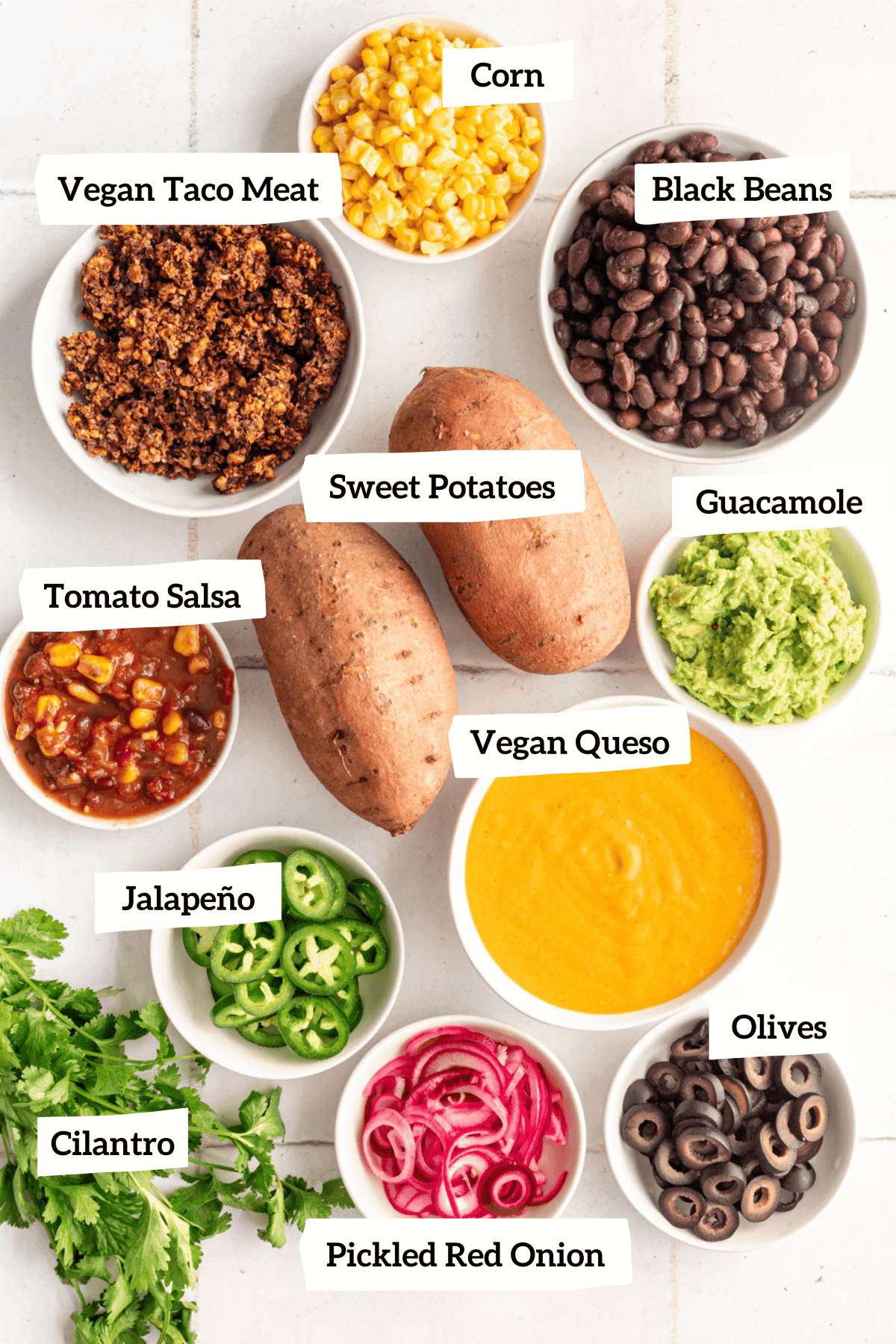 Air Fryer Sweet Potato Nachos Ingredients and toppings