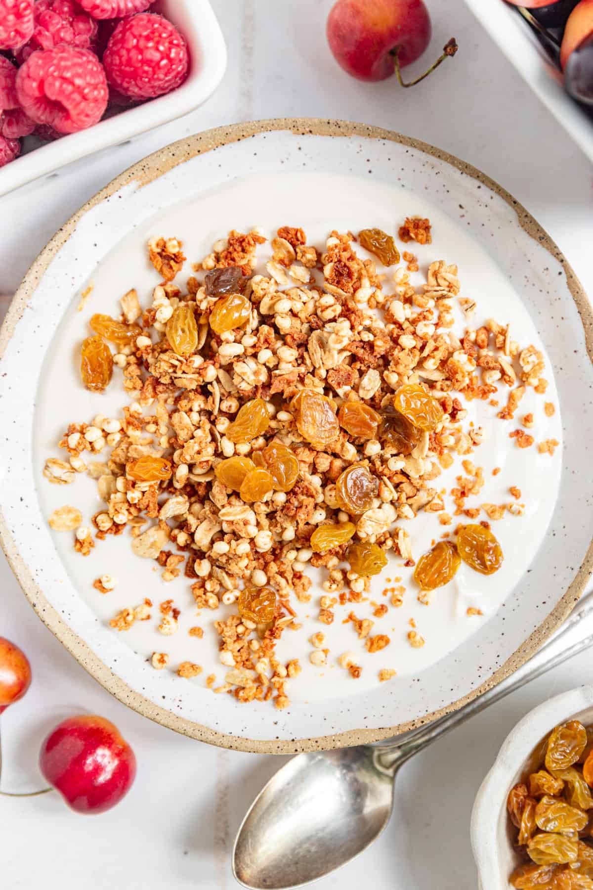 A bowl of high protein granola on top of yogurt, with raisins mixed in.