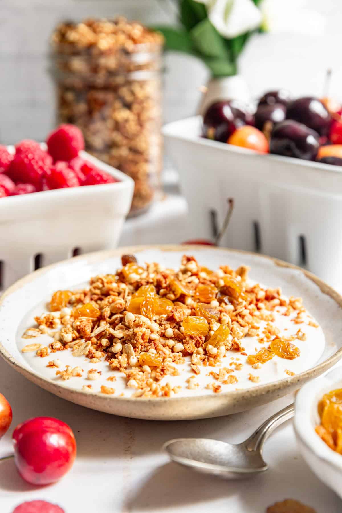 A bowl of high protein granola on top of yogurt, with raisins mixed in.