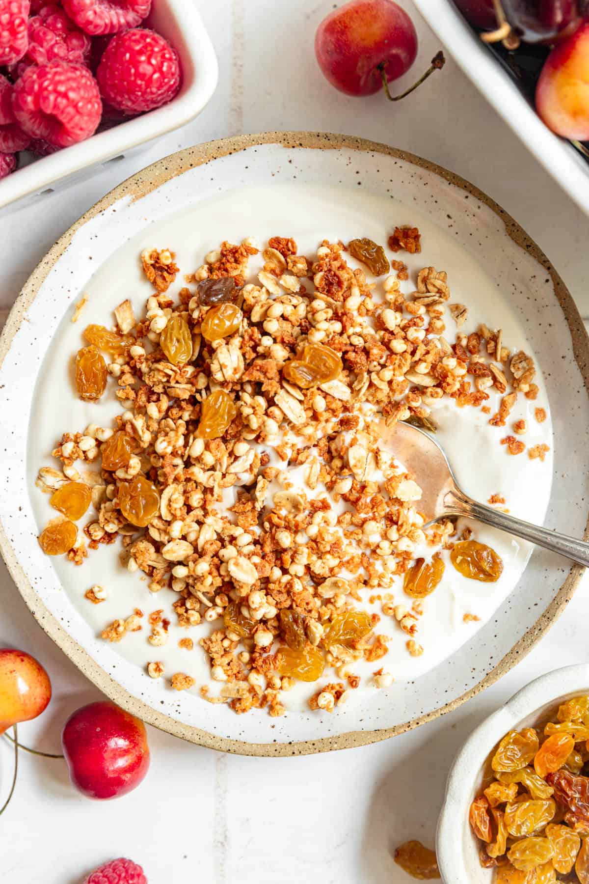 A bowl of high protein granola on top of yogurt, with raisins mixed in.