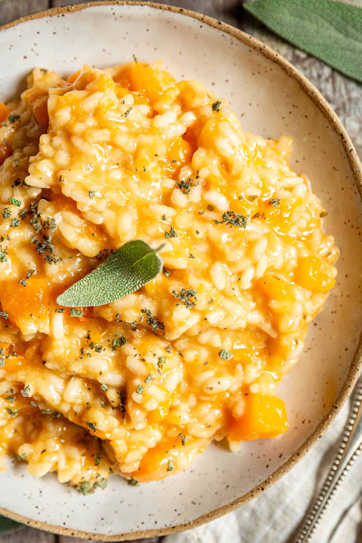 A bowl of Roasted Garlic and Butternut Squash Risotto, highlighting the texture of the dish.