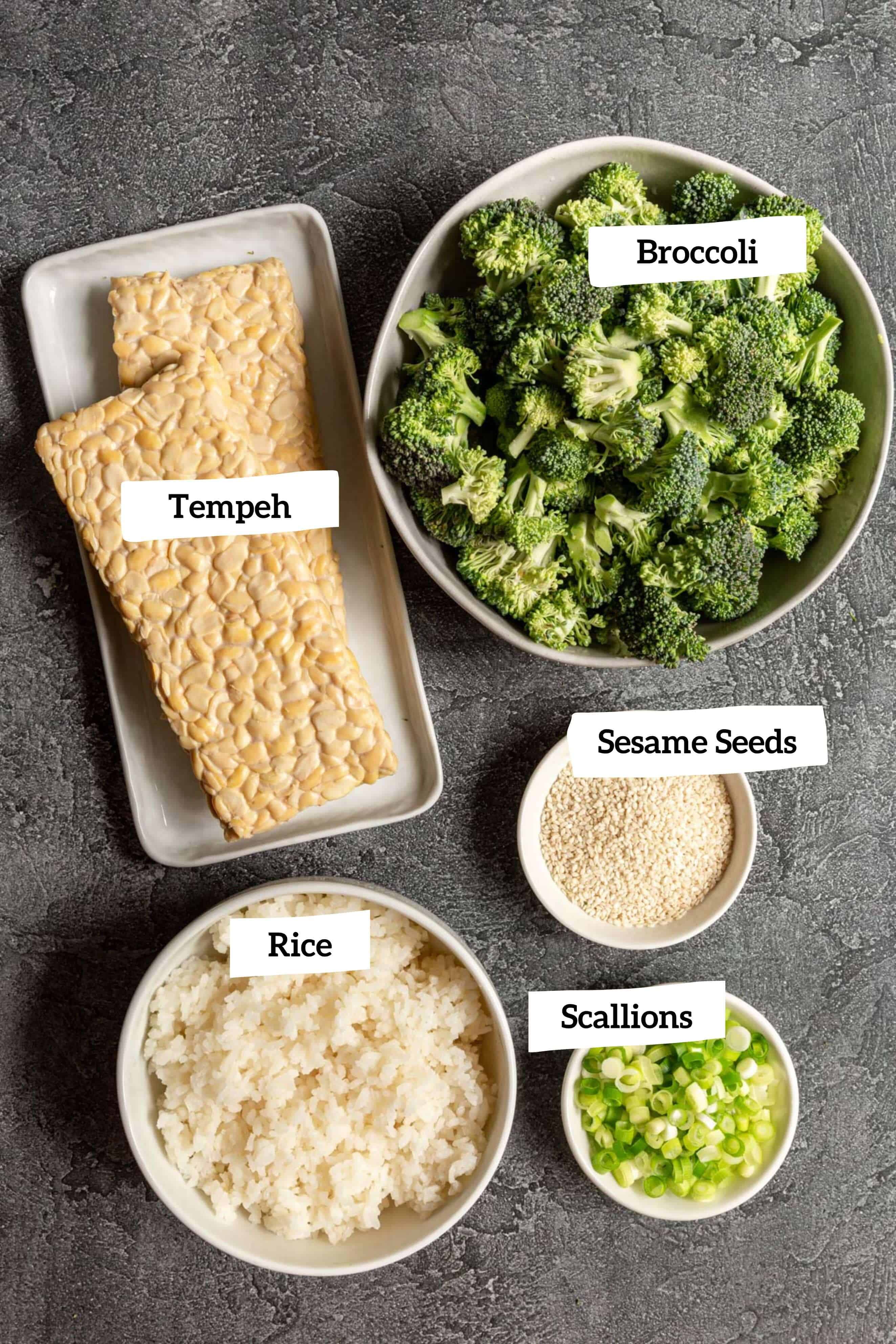 Teriyaki Tempeh Ingredients