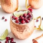 A mule glass with a cranberry mocktail, garnished with frozen cranberries.
