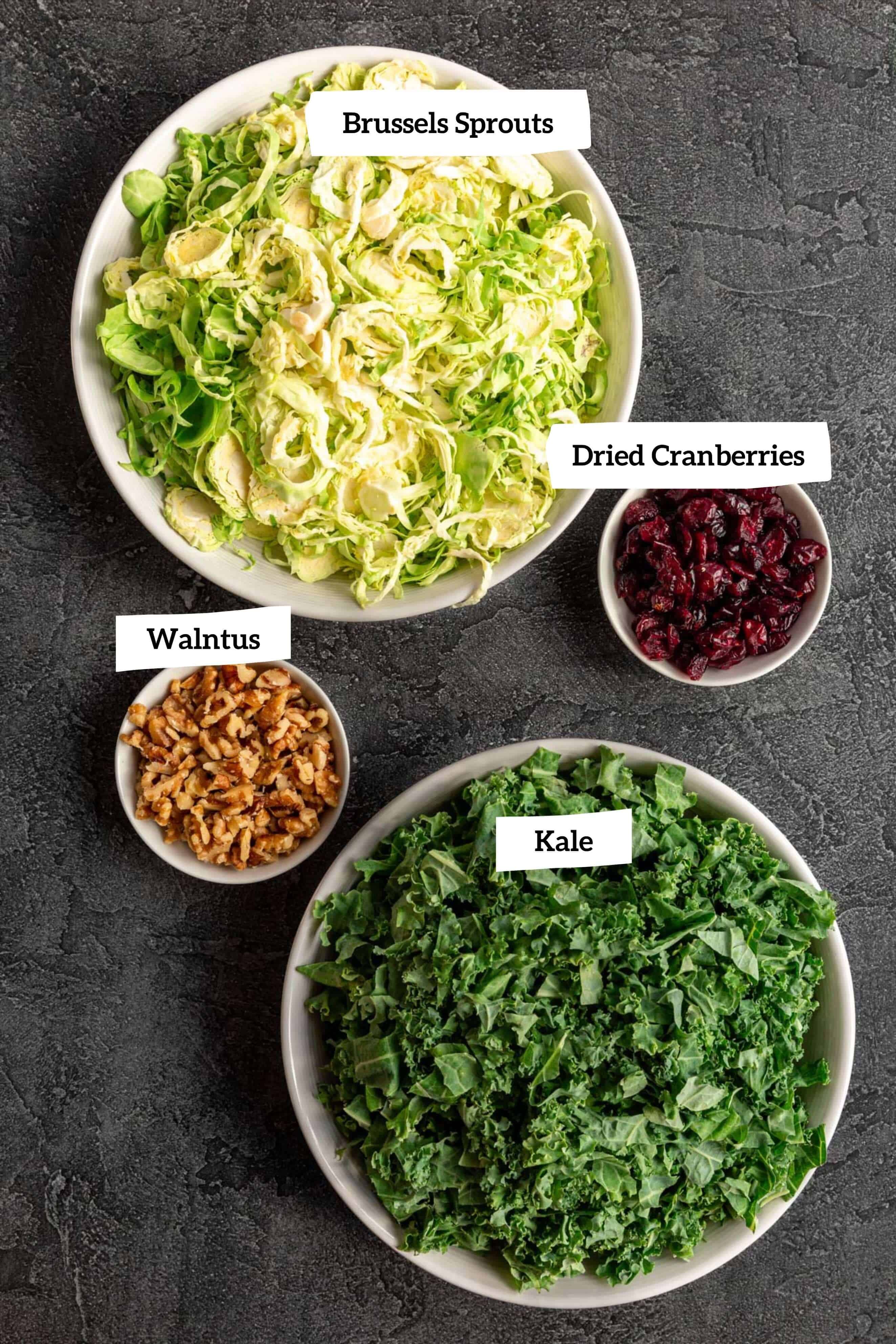 Vegan Kale Brussels Sprouts Cranberry Salad - salad ingredients