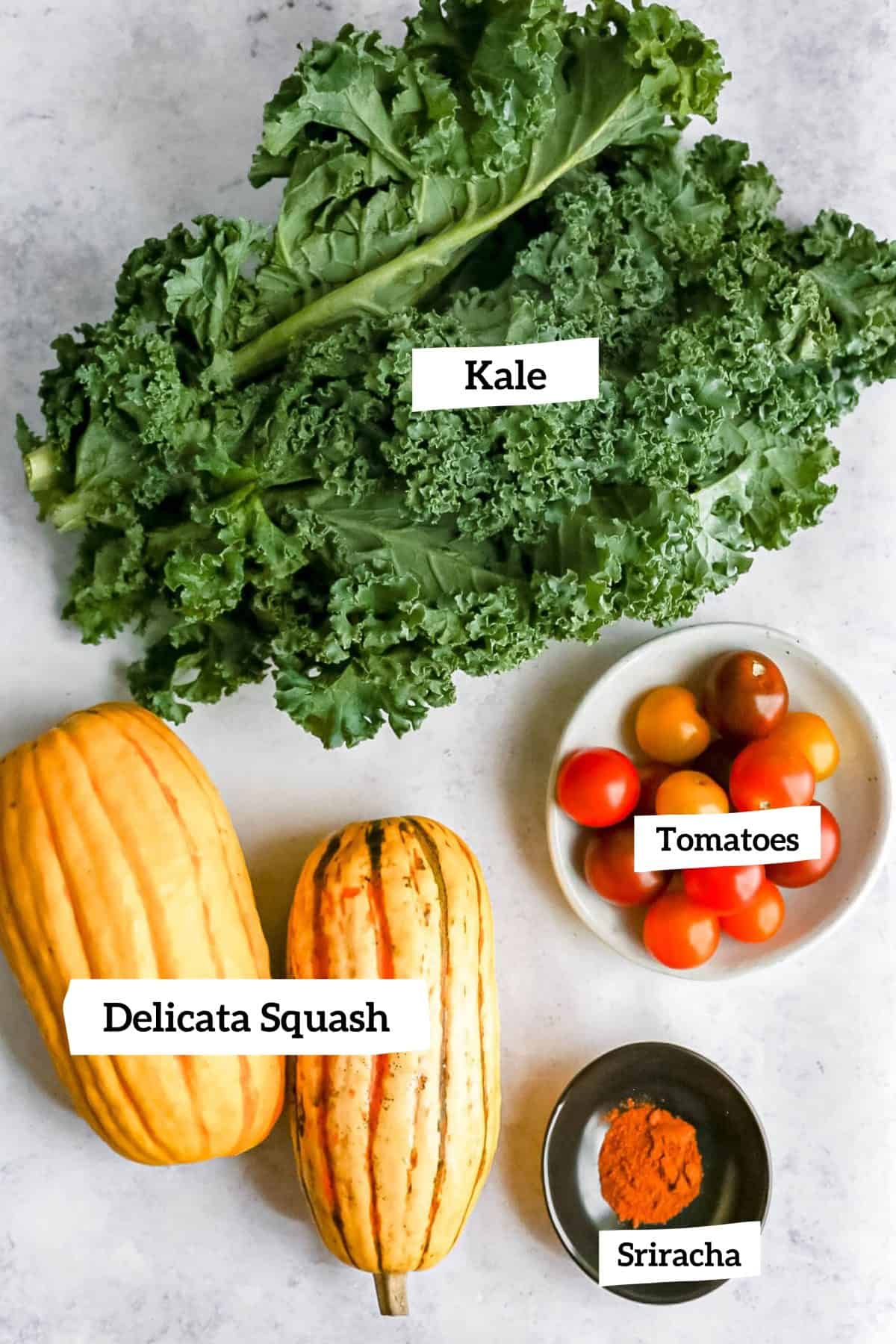 Delicata Squash Kale Salad Ingredients