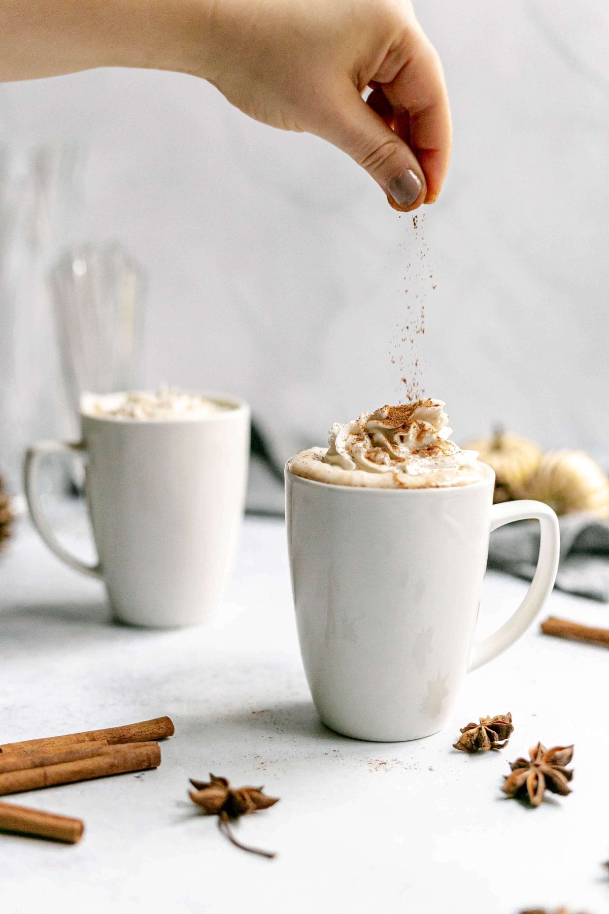 Sugar-Free Vegan Snickerdoodle Latte