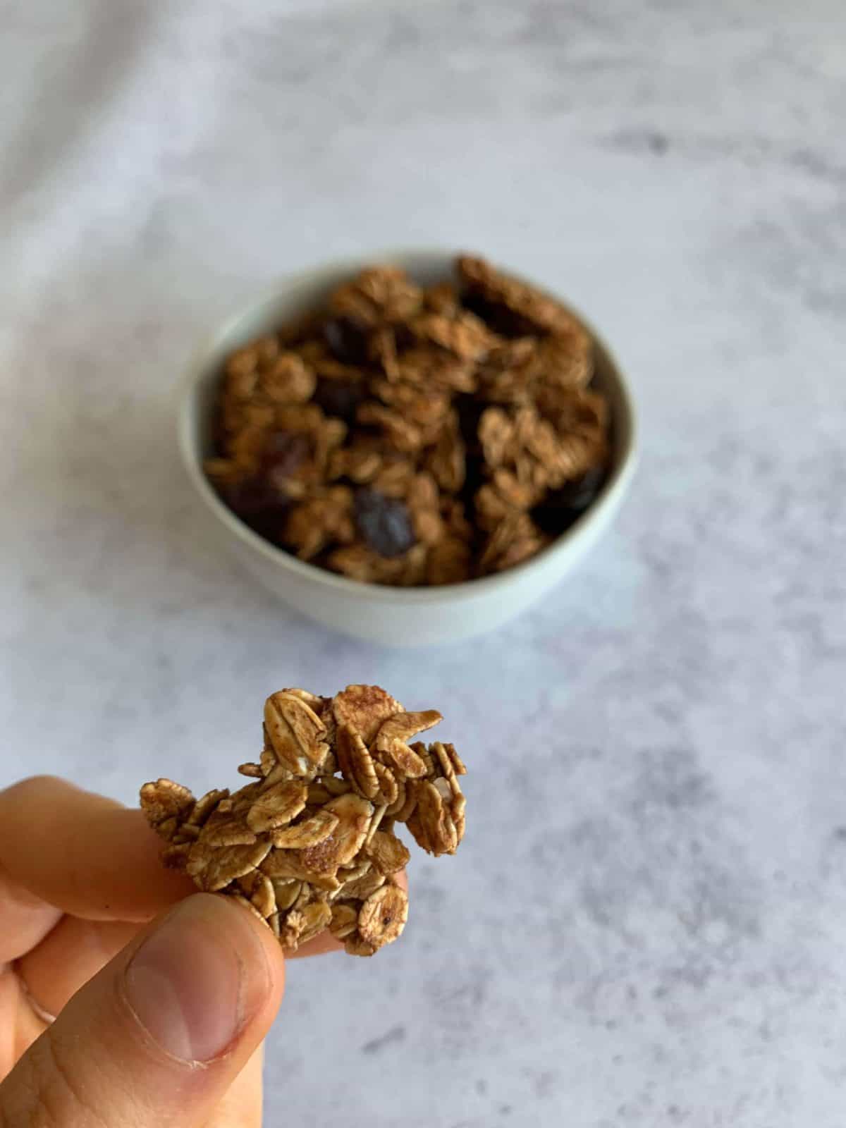 Plant-Based Oatmeal Raisin Granola