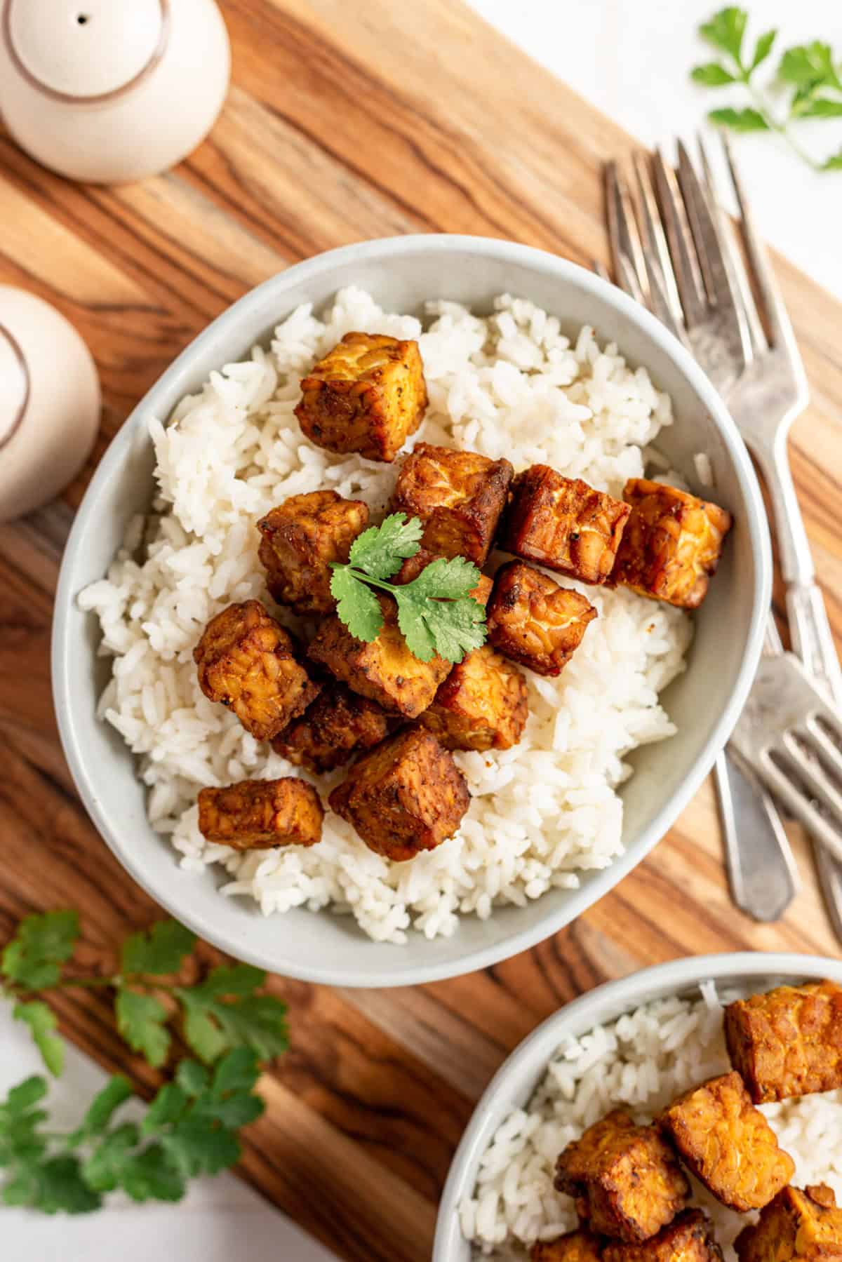 A bowl coconut curry tempeh, served over rice, with a garnish of cilantro.