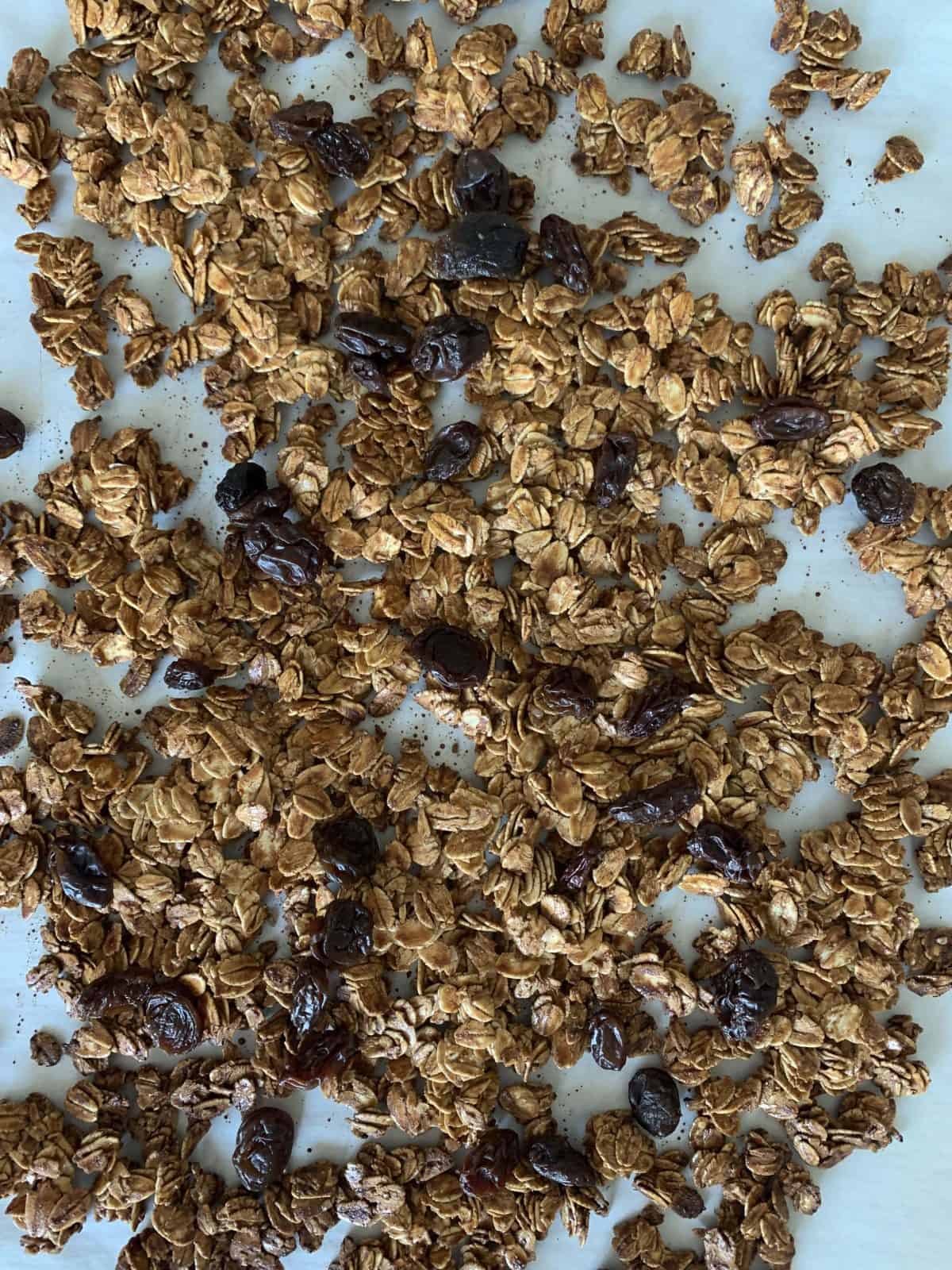 Plant-Based Oatmeal Raisin Granola