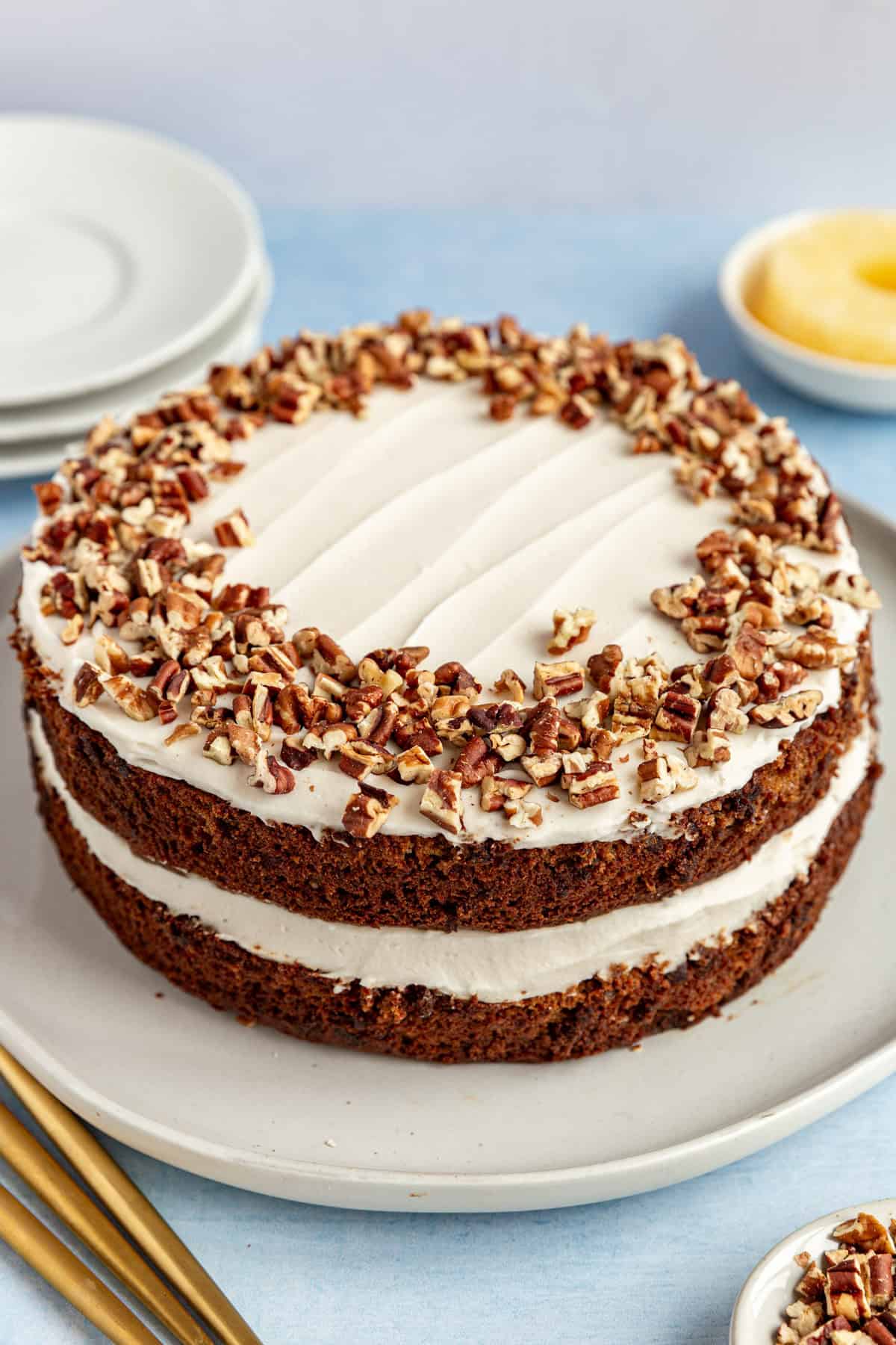 A side view of two layers of vegan hummingbird cake.