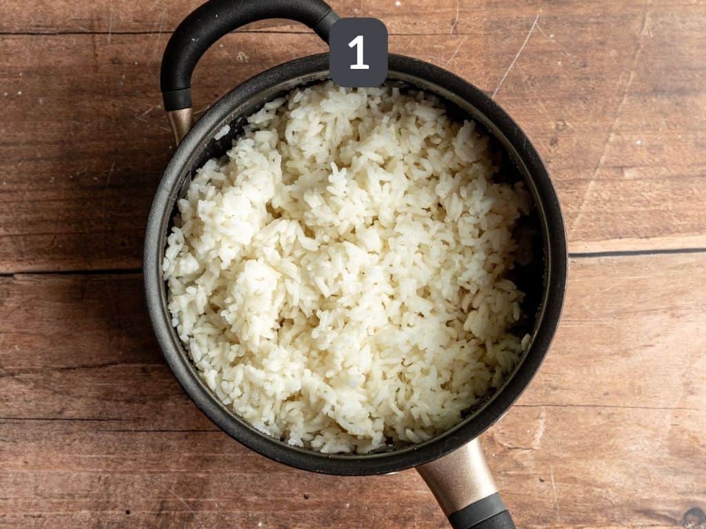 Vegan Weeknight Fried Rice Step 1 - cook the rice.
