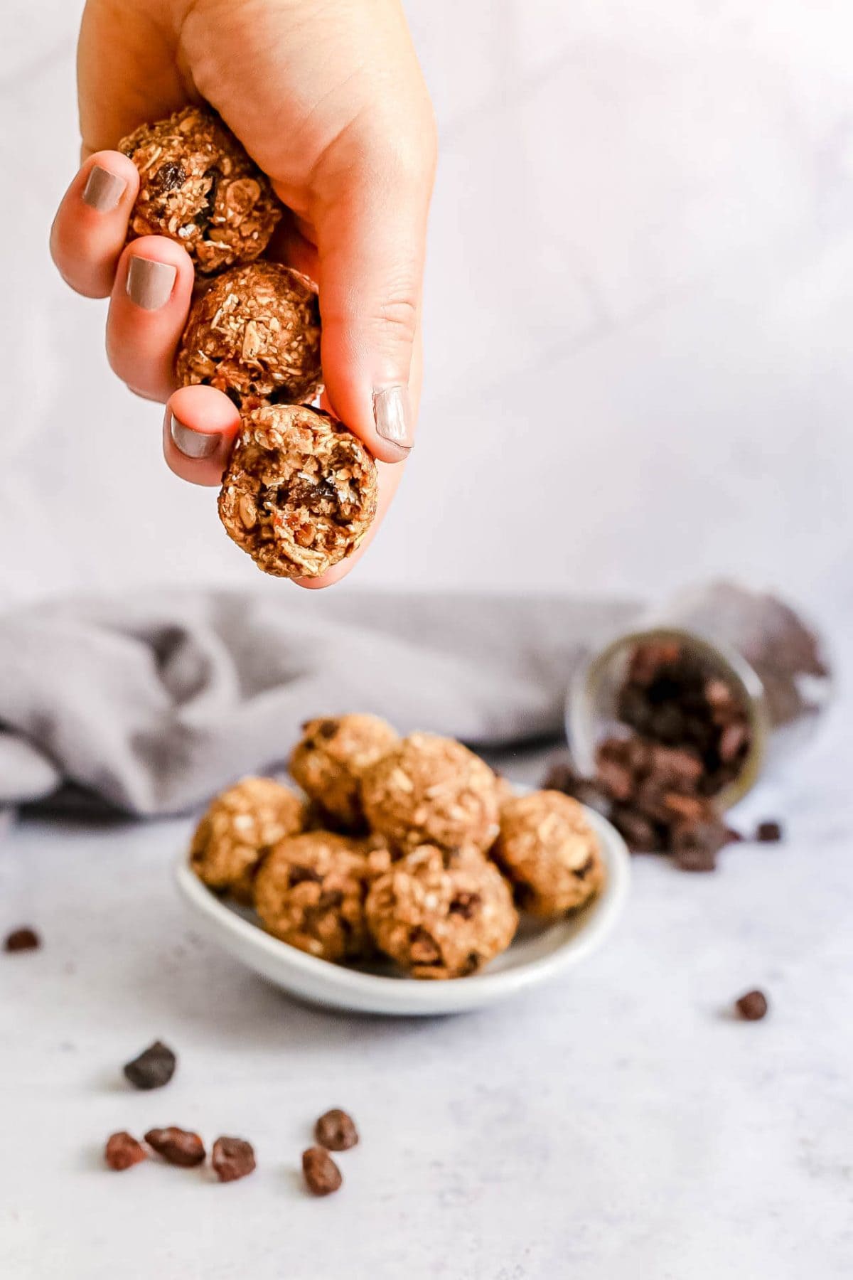 Oatmeal Raisin Cookie Bites