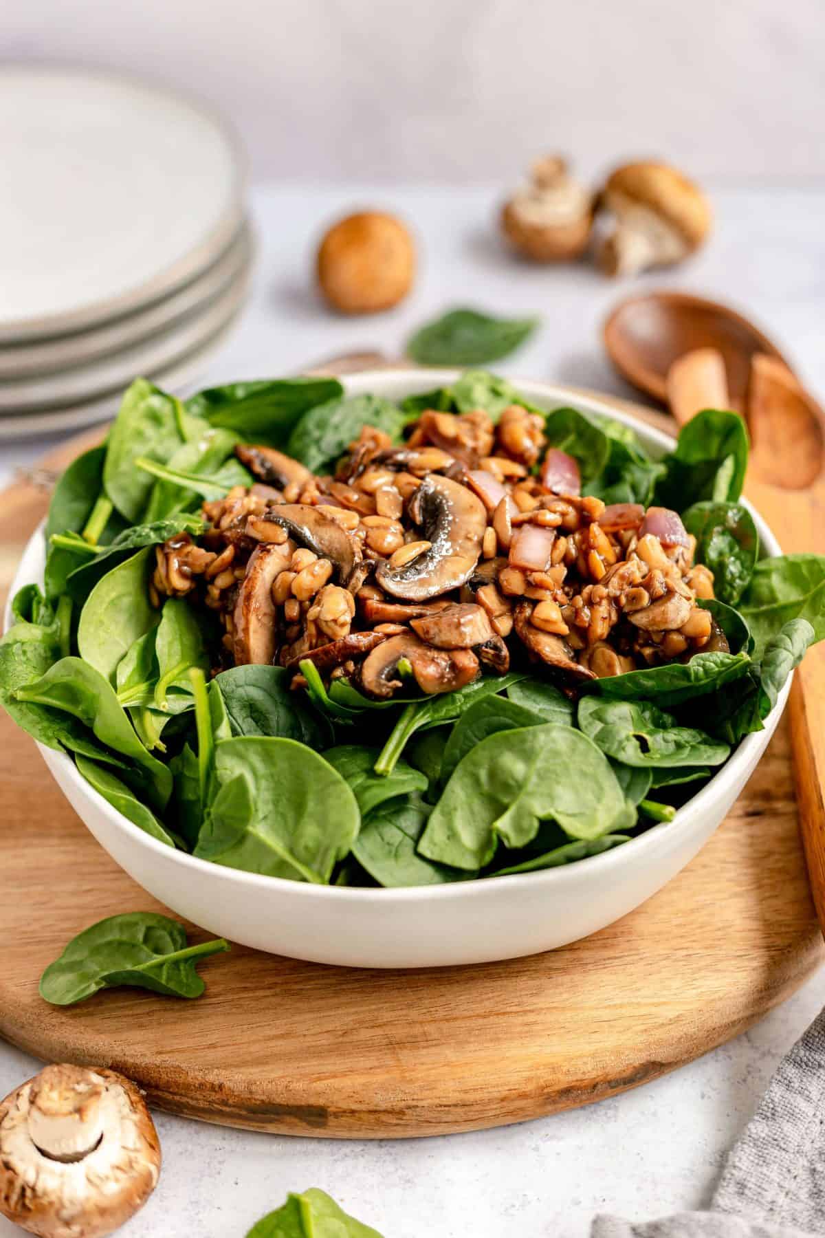 Teriyaki Mushroom Tempeh Salad