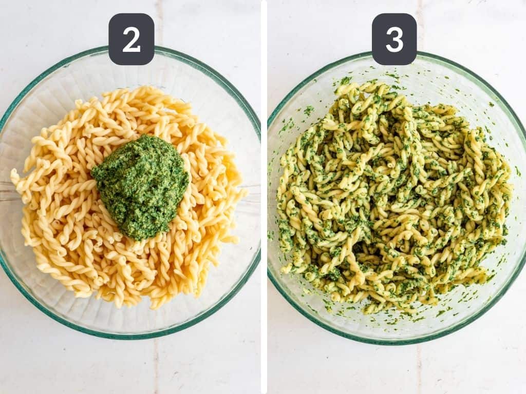 Vegan Spinach Walnut Pesto Steps 2 & 3