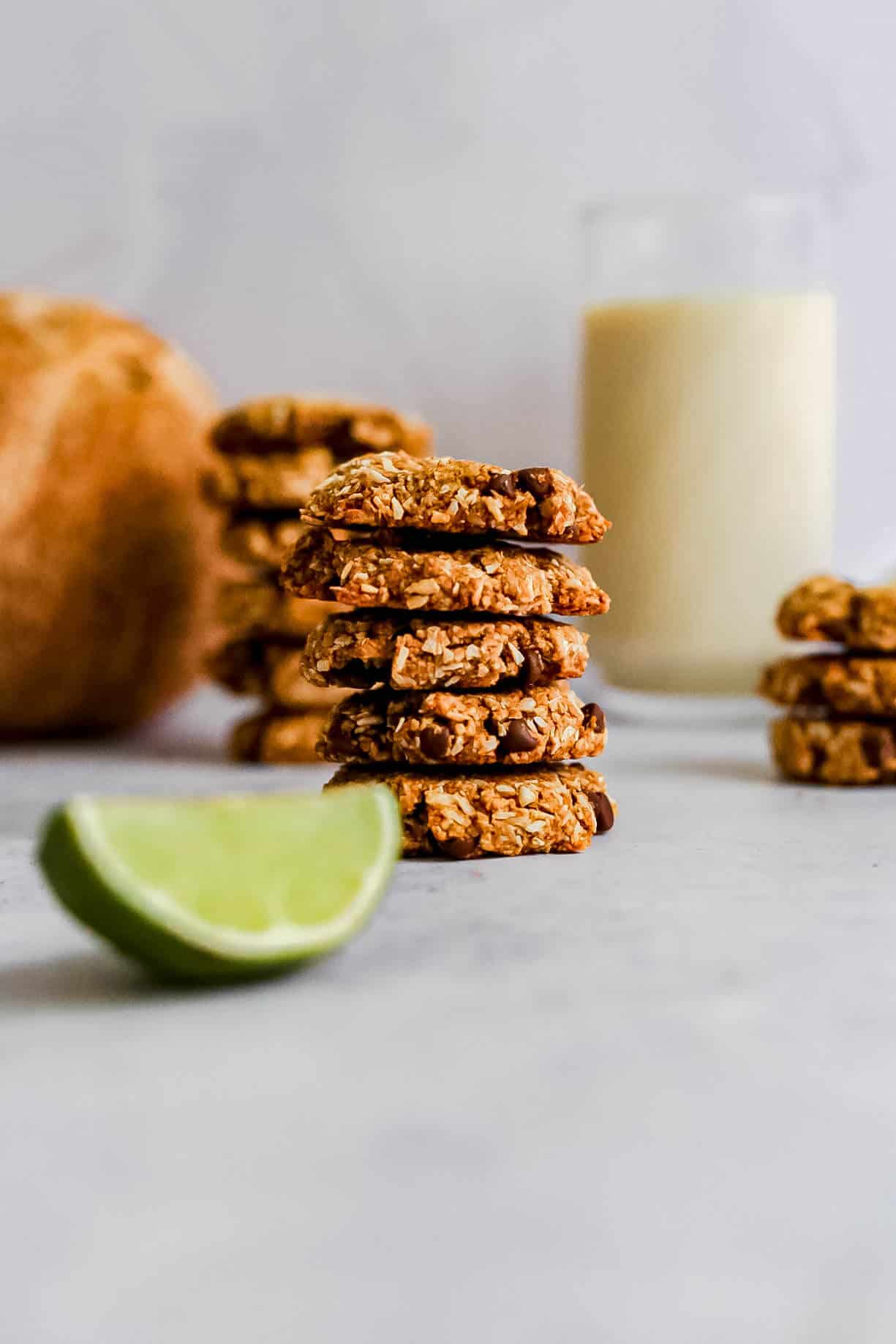 Toasted Coconut Chocolate Cookies