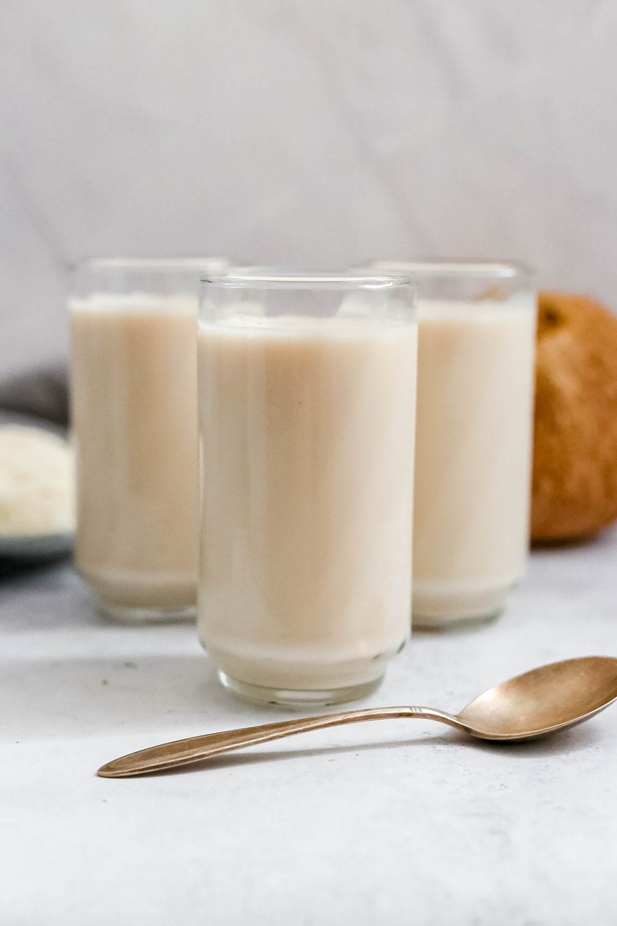 Homemade coconut milk