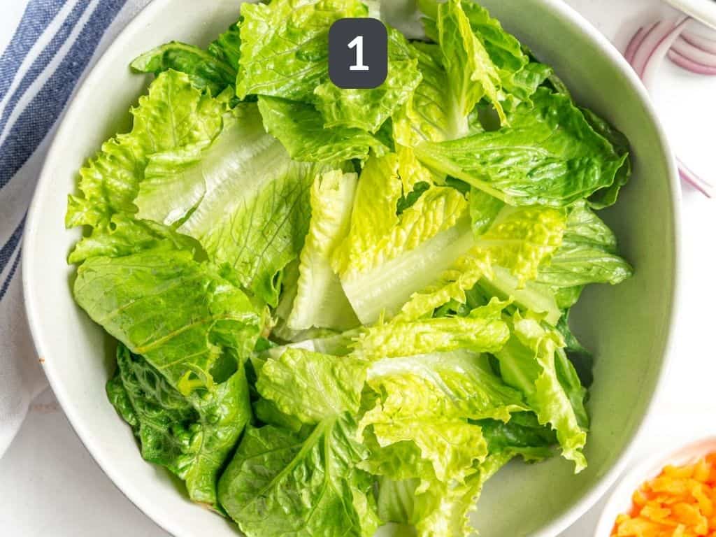 Rainbow Salad Bowl Greens