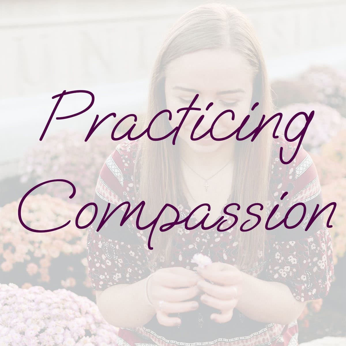 Practised Compassion Practicing Compassion - At Elizabeth's Table