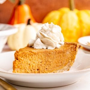 A slice of vegan gluten free pumpkin pie, topped with vegan whipped cream.