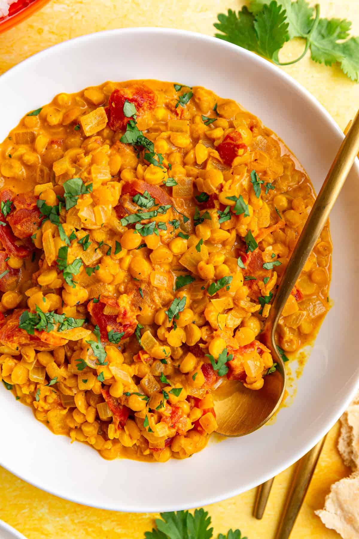 A bowl of dal, with a spoon.