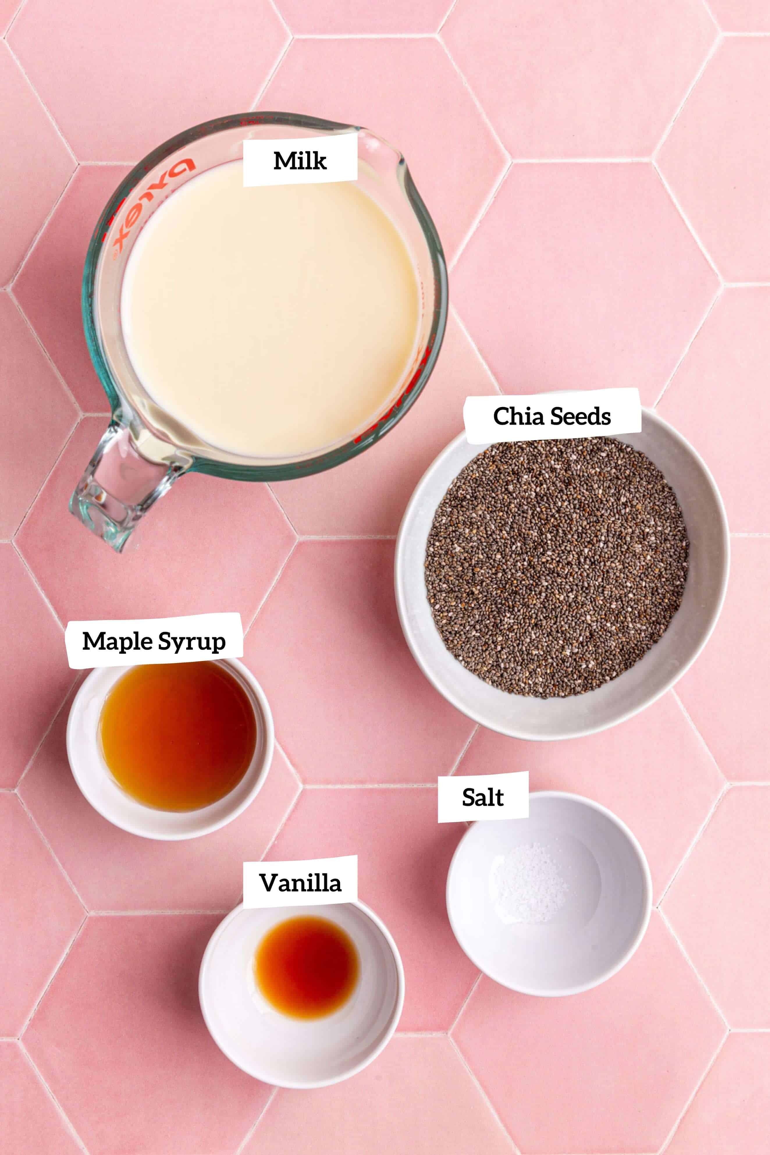 Blended Chia Pudding Ingredients