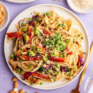 A thai noodle bowl, with a fork, ready to serve.
