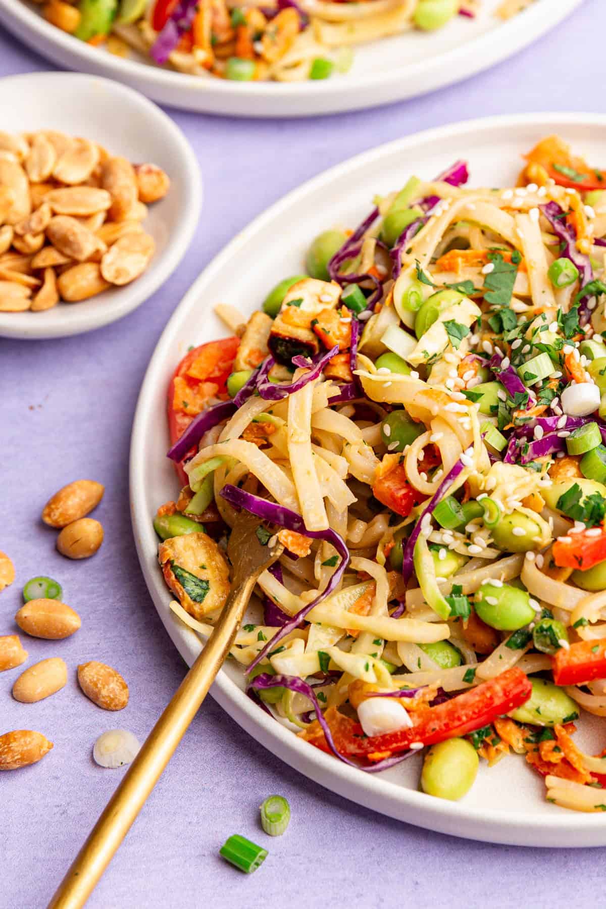 A Thai noodle bowl with a fork twirling some pasta.