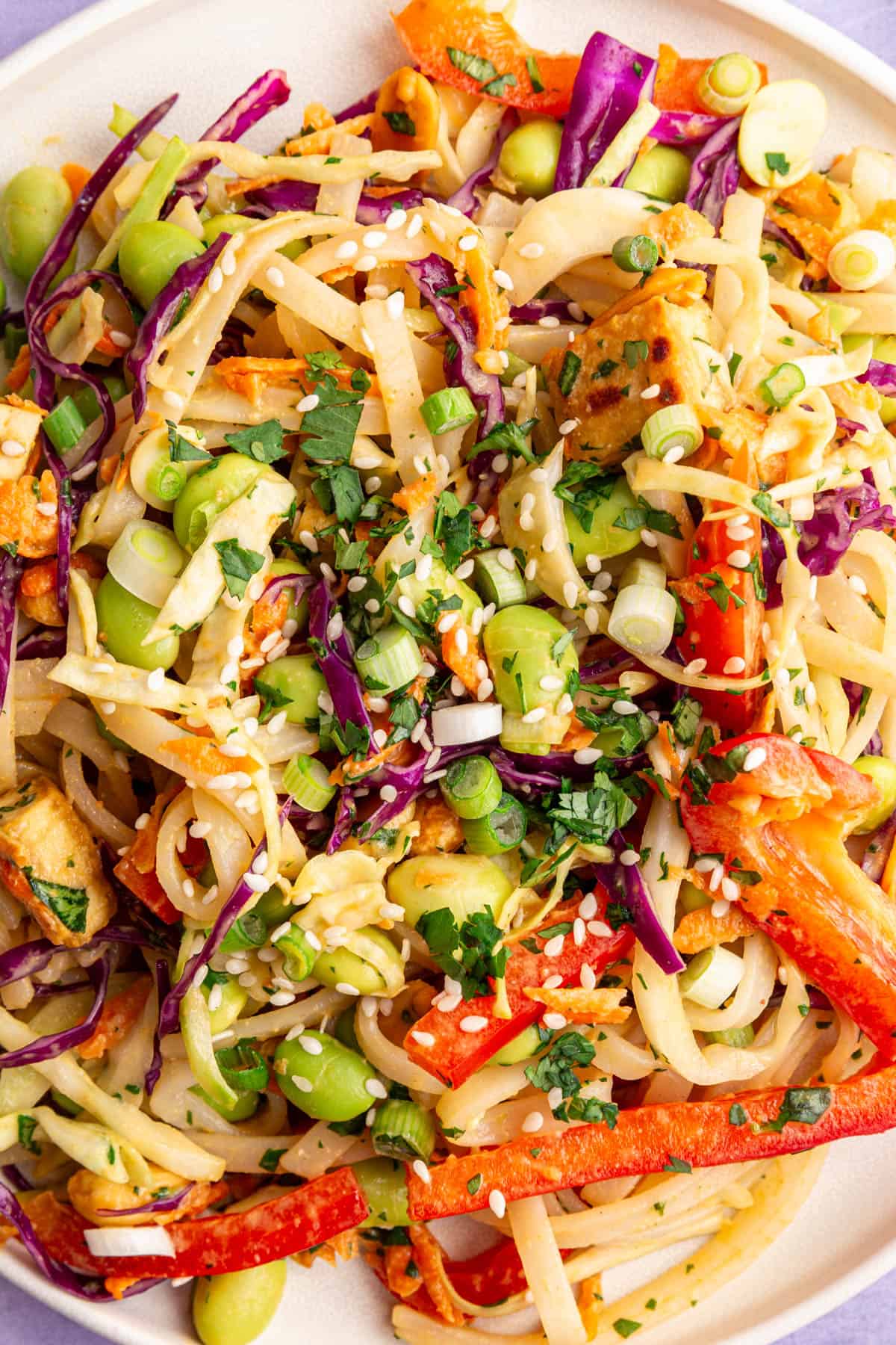A close up of the texture of a Thai noodle bowl with peanut sauce.