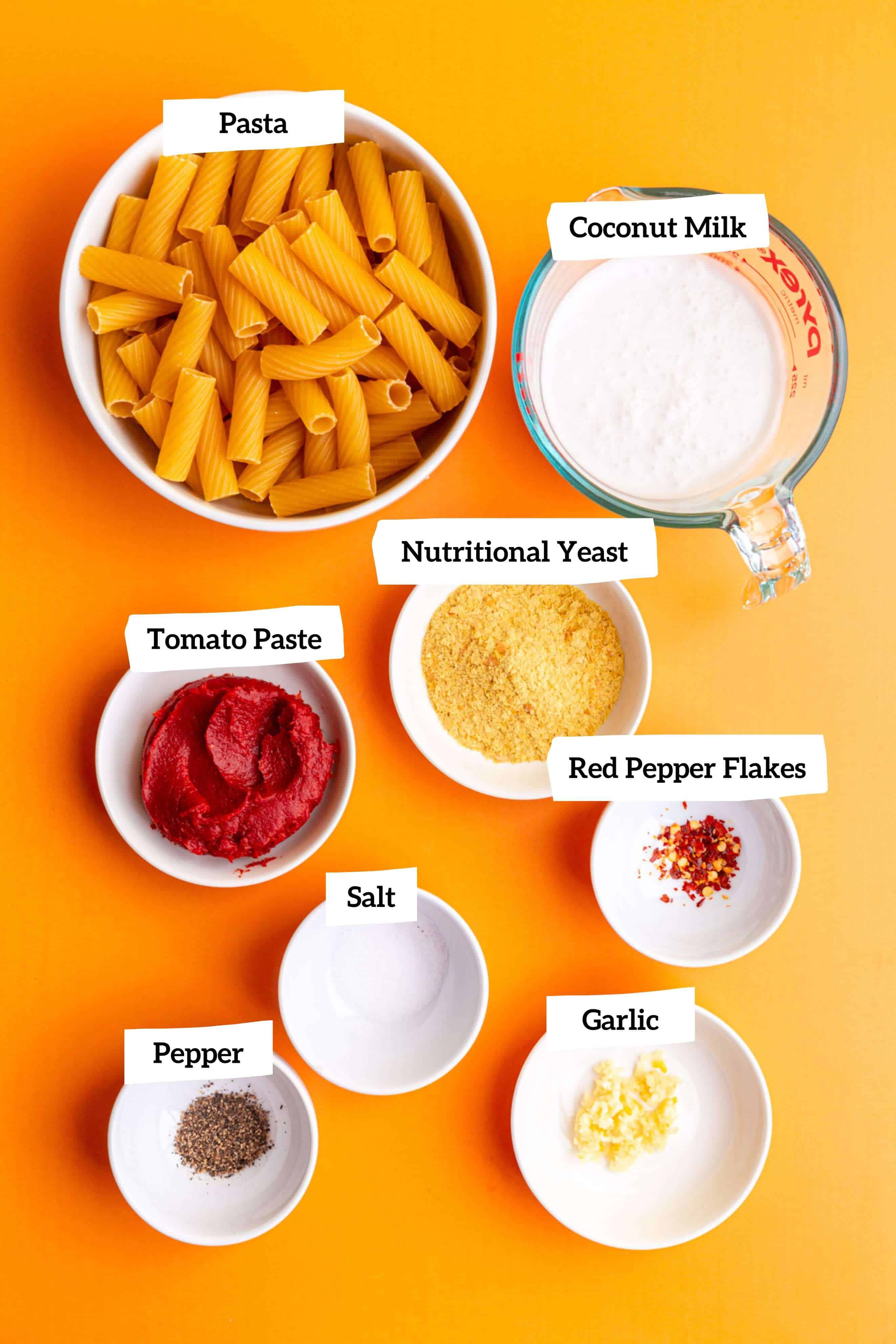 Vegan Vodka Pasta Ingredients