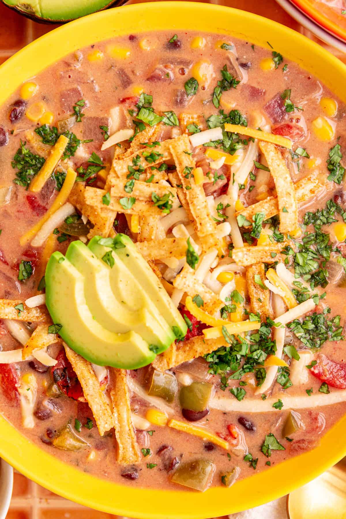 A bowl of Vegan Southwest Soup, topped with avocado, cheese, tortilla strips, and cilantro.