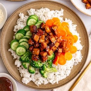 A plate of hoisin tofu on a bed of rice, with carrots, cucumbers, and broccoli.