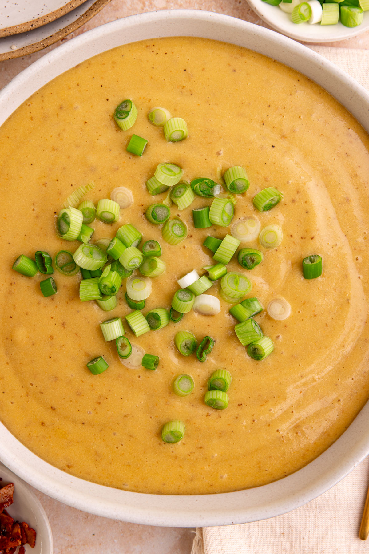 A bowl of potato leek soup garnished with scallions.