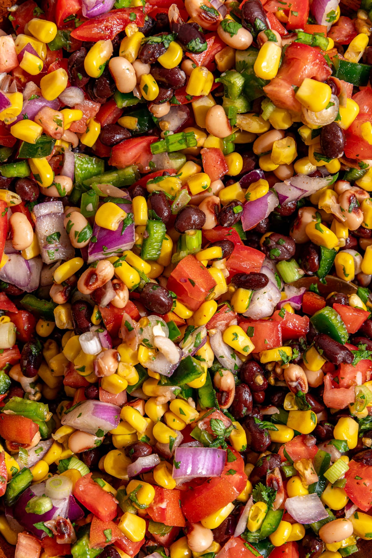 A close up view of the texture of vegan cowboy caviar.