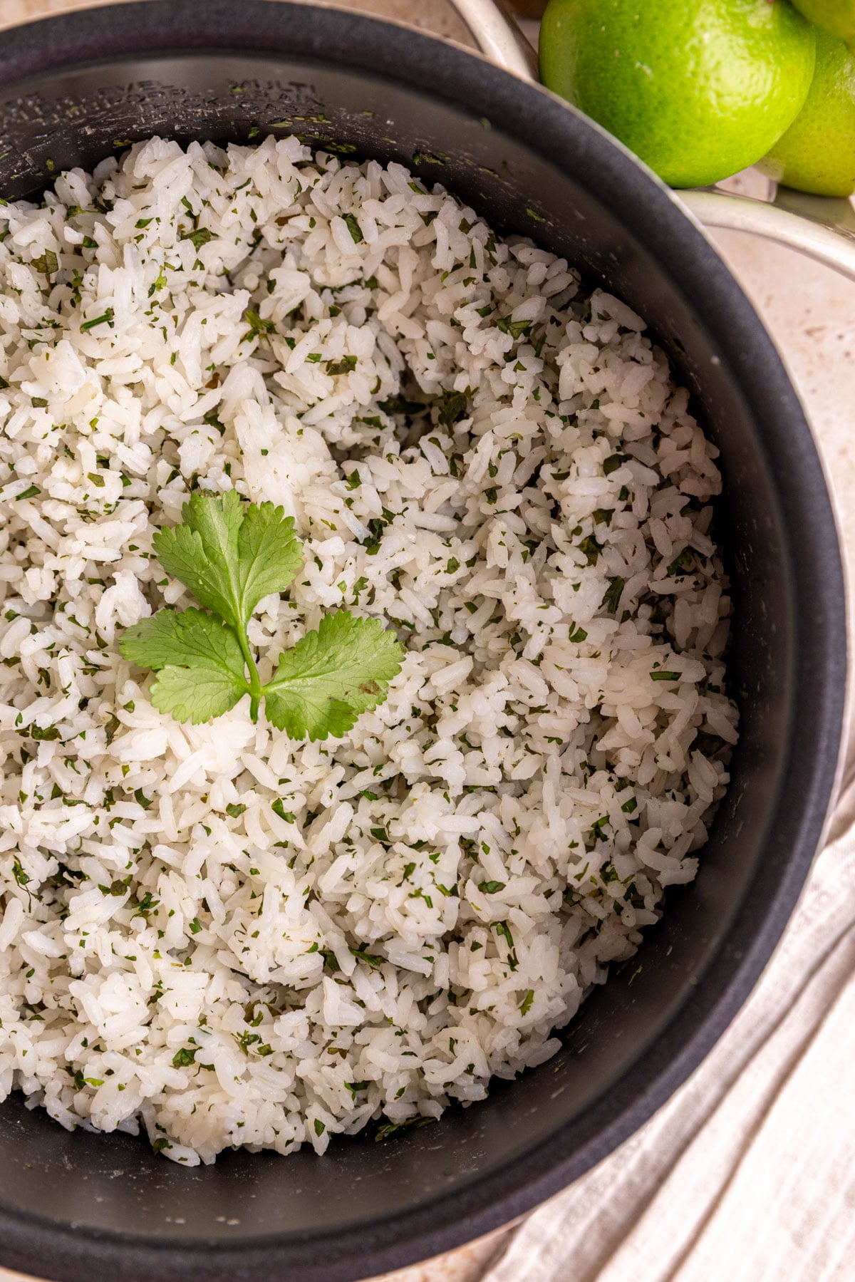 Cilantro lime rice in a bowl, ready to serve.
